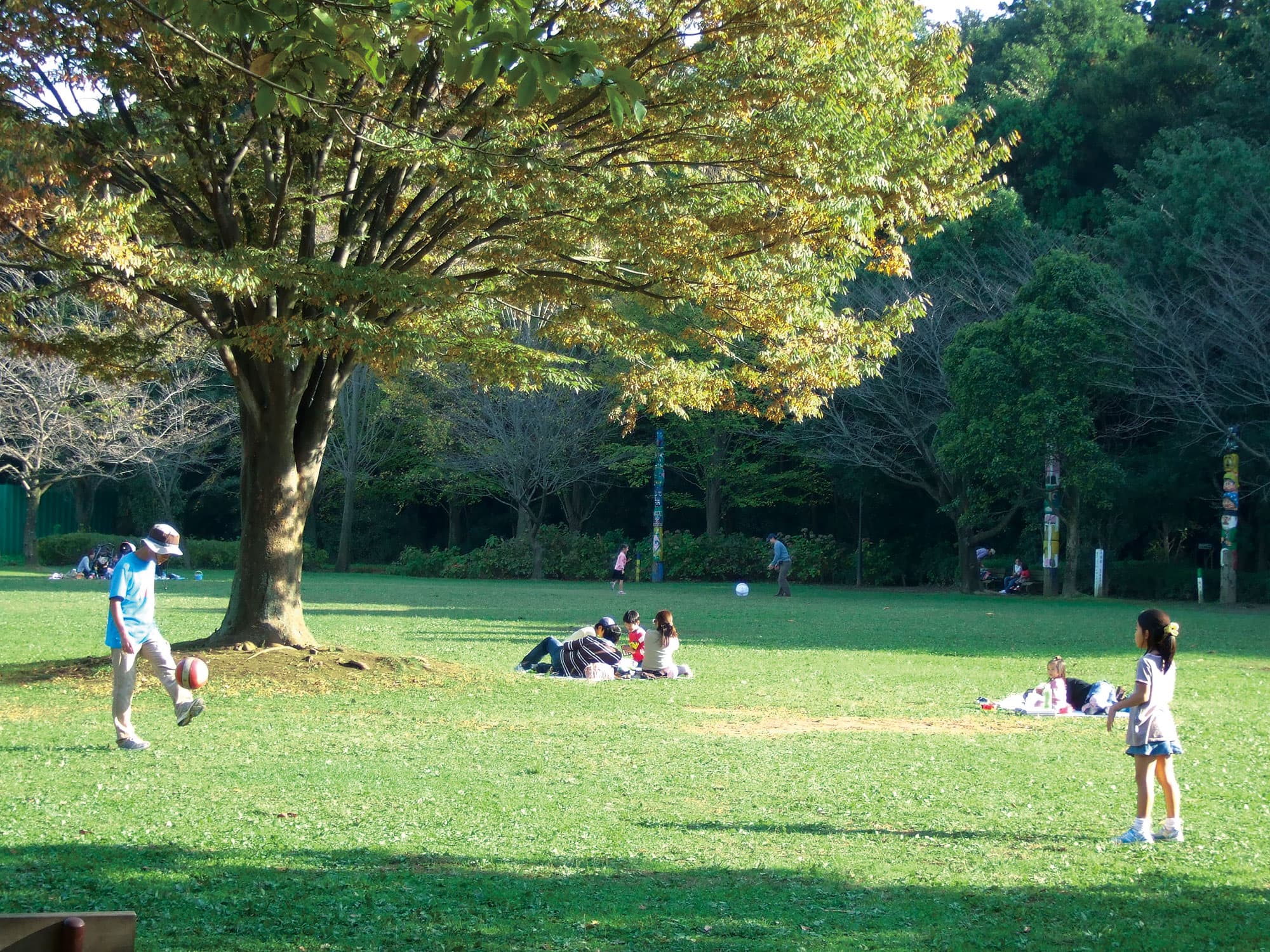 運動公園周辺地区