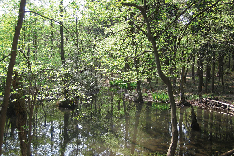 こんぶくろ池自然博物公園