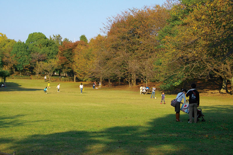 県立柏の葉公園