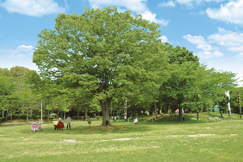 総合運動公園