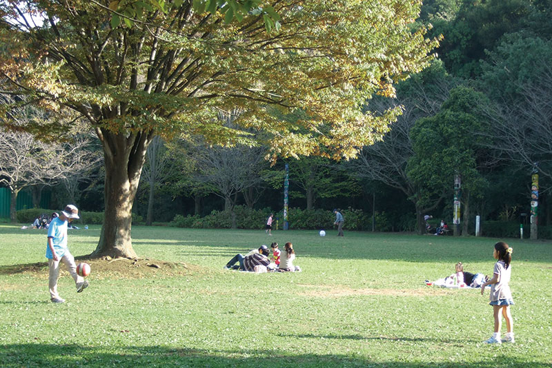 流山市総合運動公園